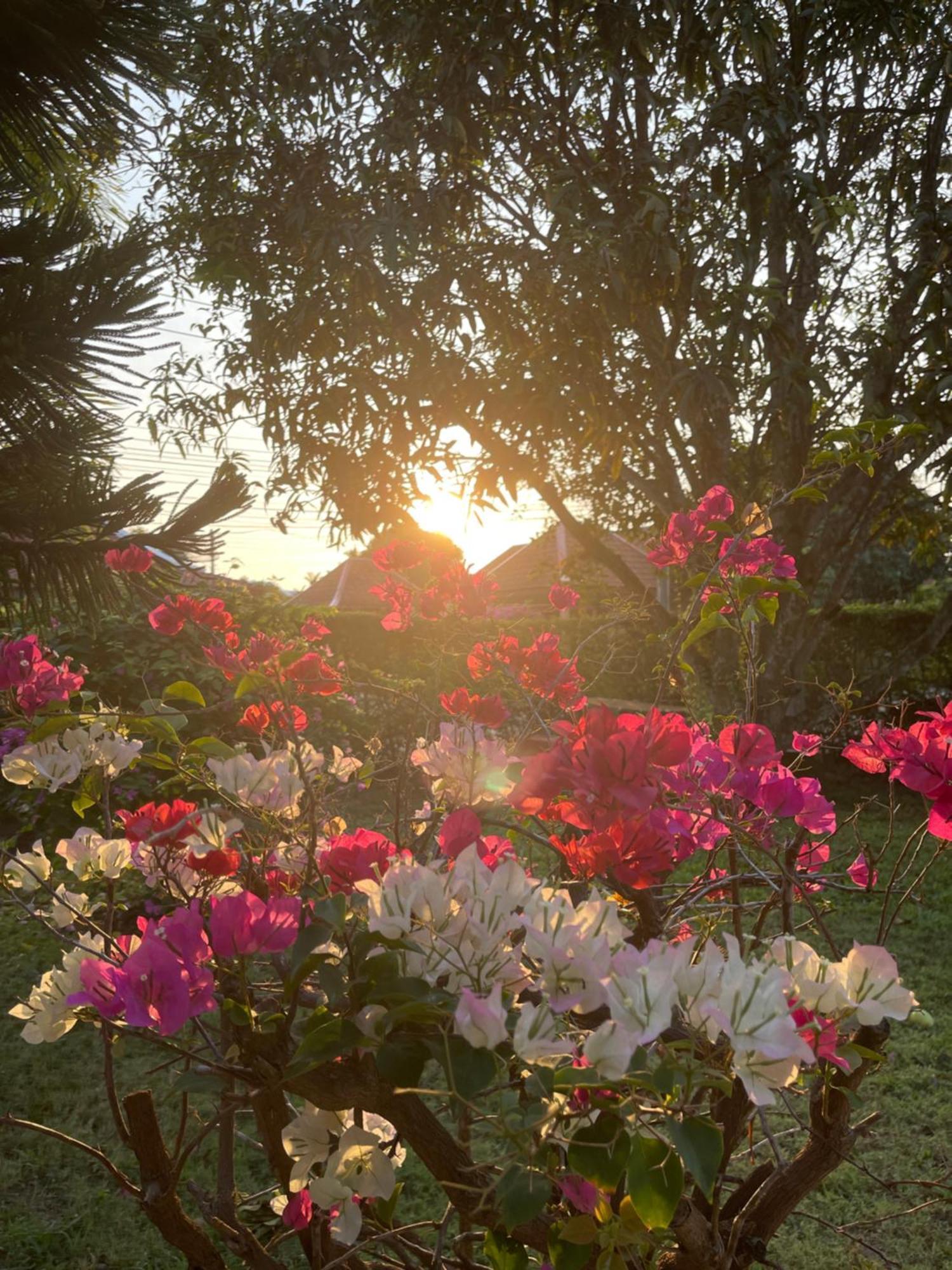 Bali Residence Mae Phim Zewnętrze zdjęcie